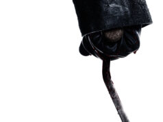 אני יודע מה עשית בקיץ האחרון 2025 טריילר ראשון